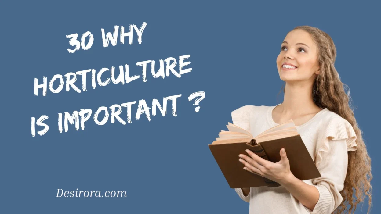 Why Horticulture Is Important