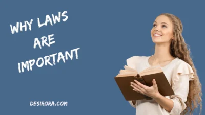 Why Laws Are Important