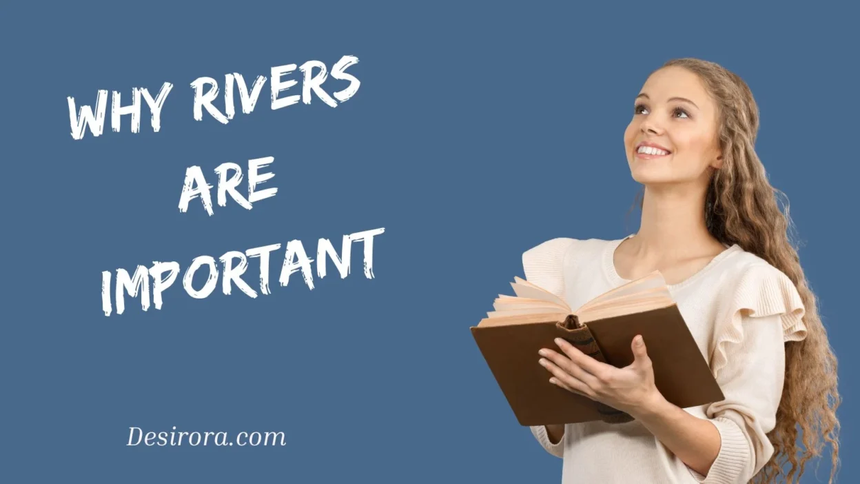 Why Rivers Are Important