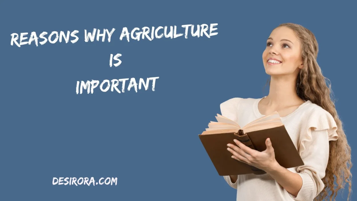Reasons Why Agriculture Is Important