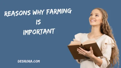 Reasons Why Farming Is Important