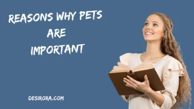 Reasons Why Pets Are Important