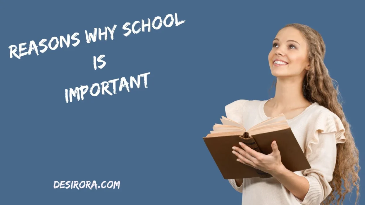 Reasons Why School Is Important