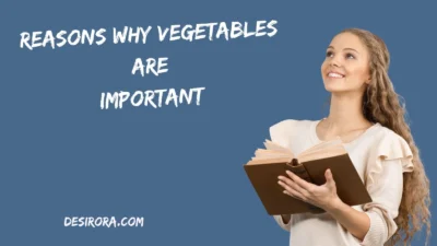 Reasons Why Vegetables Are Important