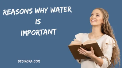 Reasons Why Water Is Important