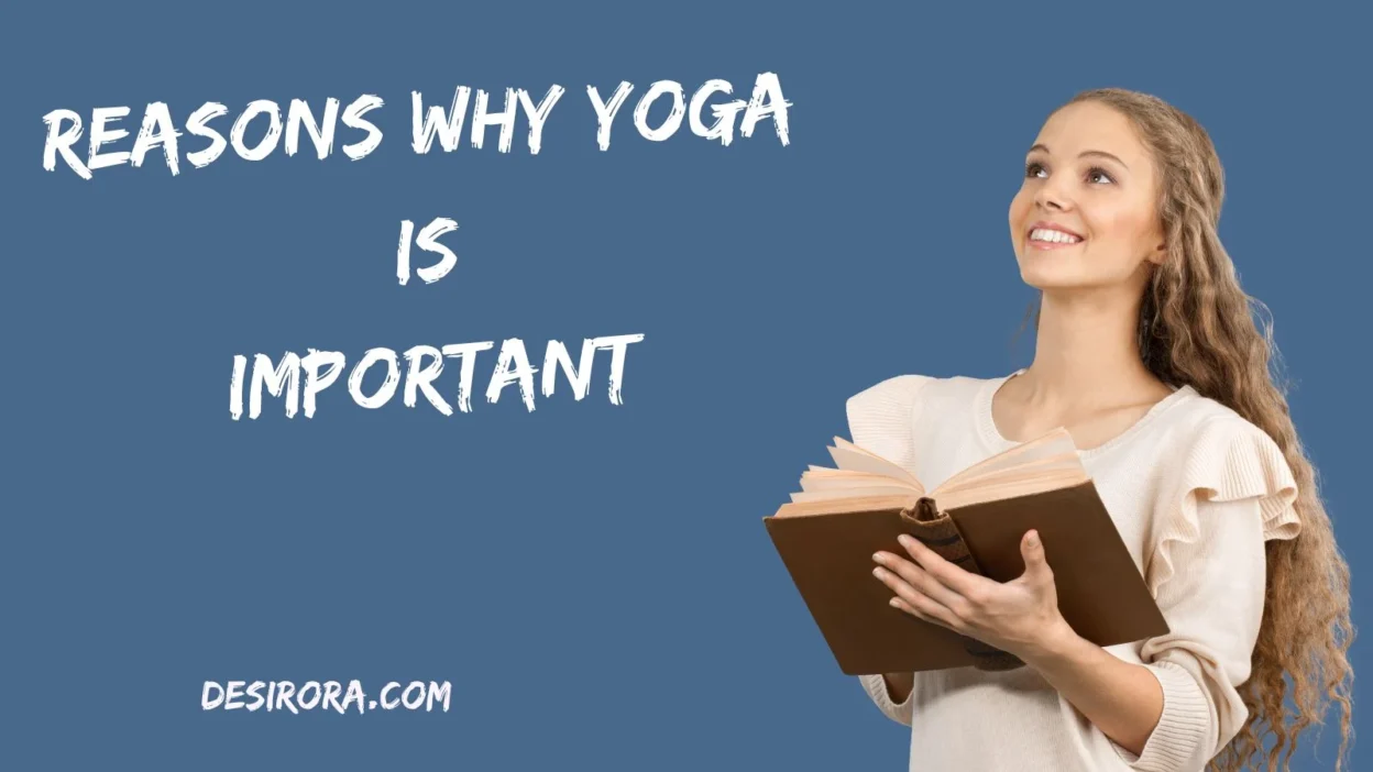 Reasons Why Yoga Is Important