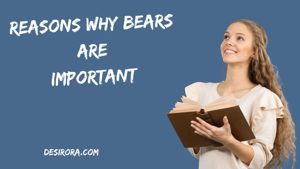 Reasons Why Bears Are Important