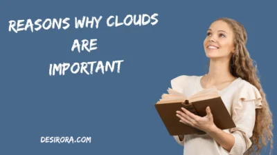 Reasons Why Clouds Are Important