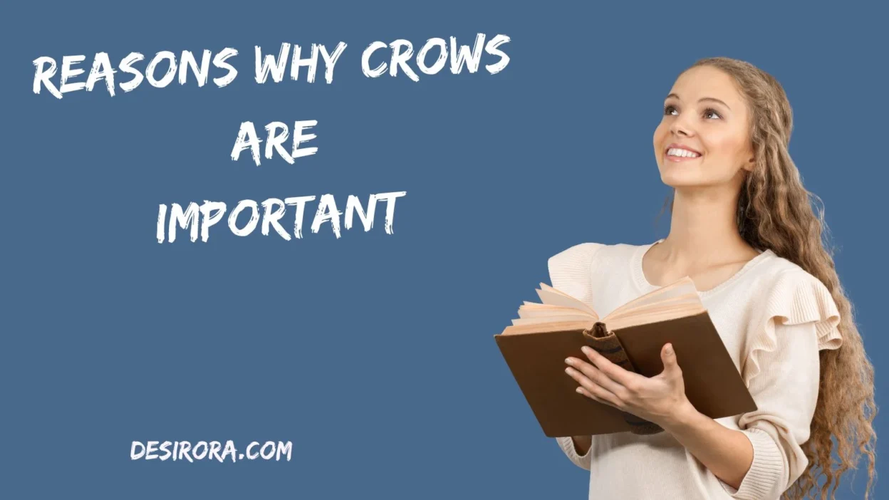 Reasons Why Crows Are Important