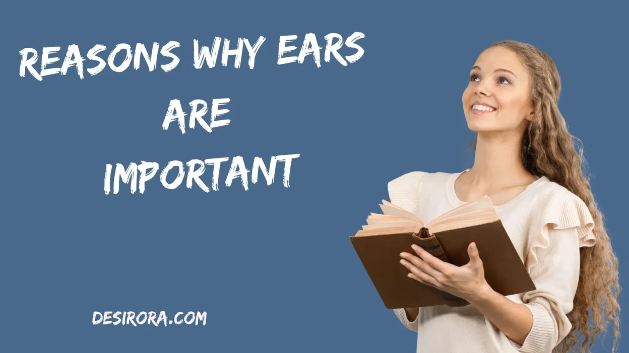 Reasons Why Ears Are Important