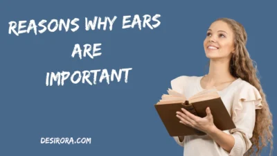 Reasons Why Ears Are Important