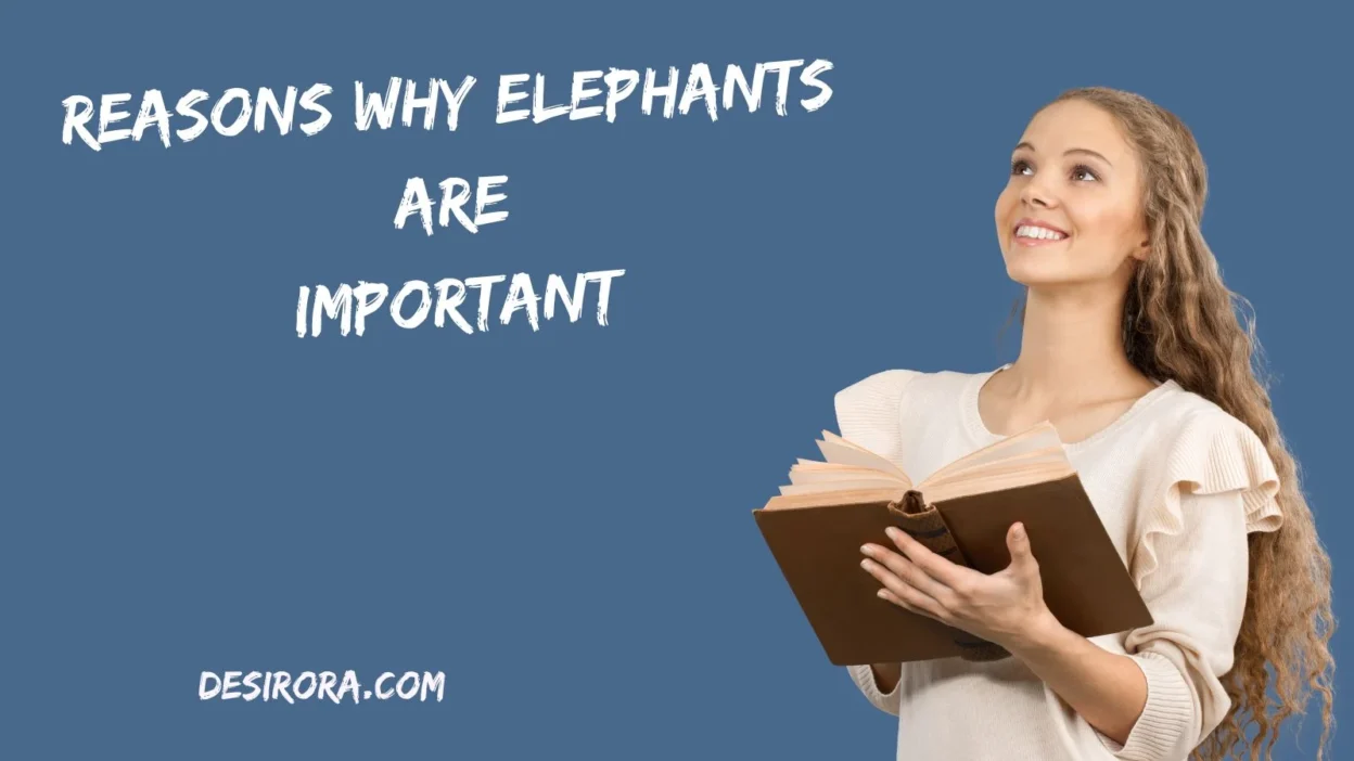 Reasons Why Elephants Are Important
