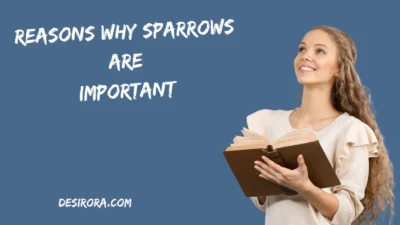 Reasons Why Sparrows Are Important