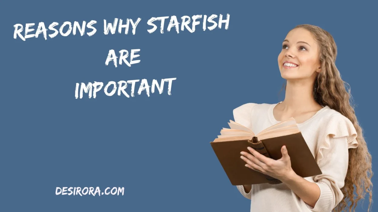 Reasons Why Starfish Are Important
