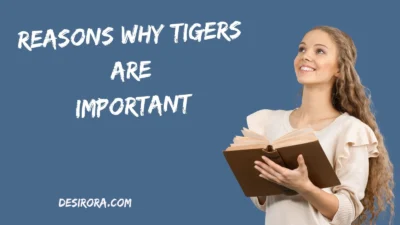Reasons Why Tigers Are Important