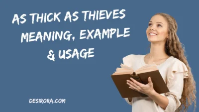 As Thick as Thieves – Meaning, Example & Usage