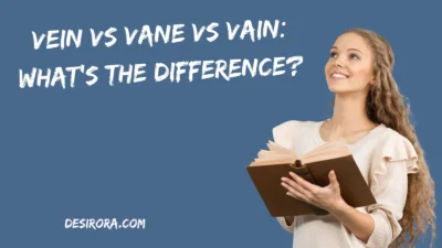Vein vs Vane vs Vain: What’s the Difference